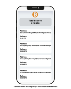 Image showing BTC wallet addresses and balances