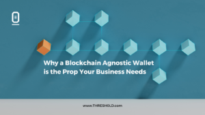 Your Business needs a Blockchain Agnostic Wallet